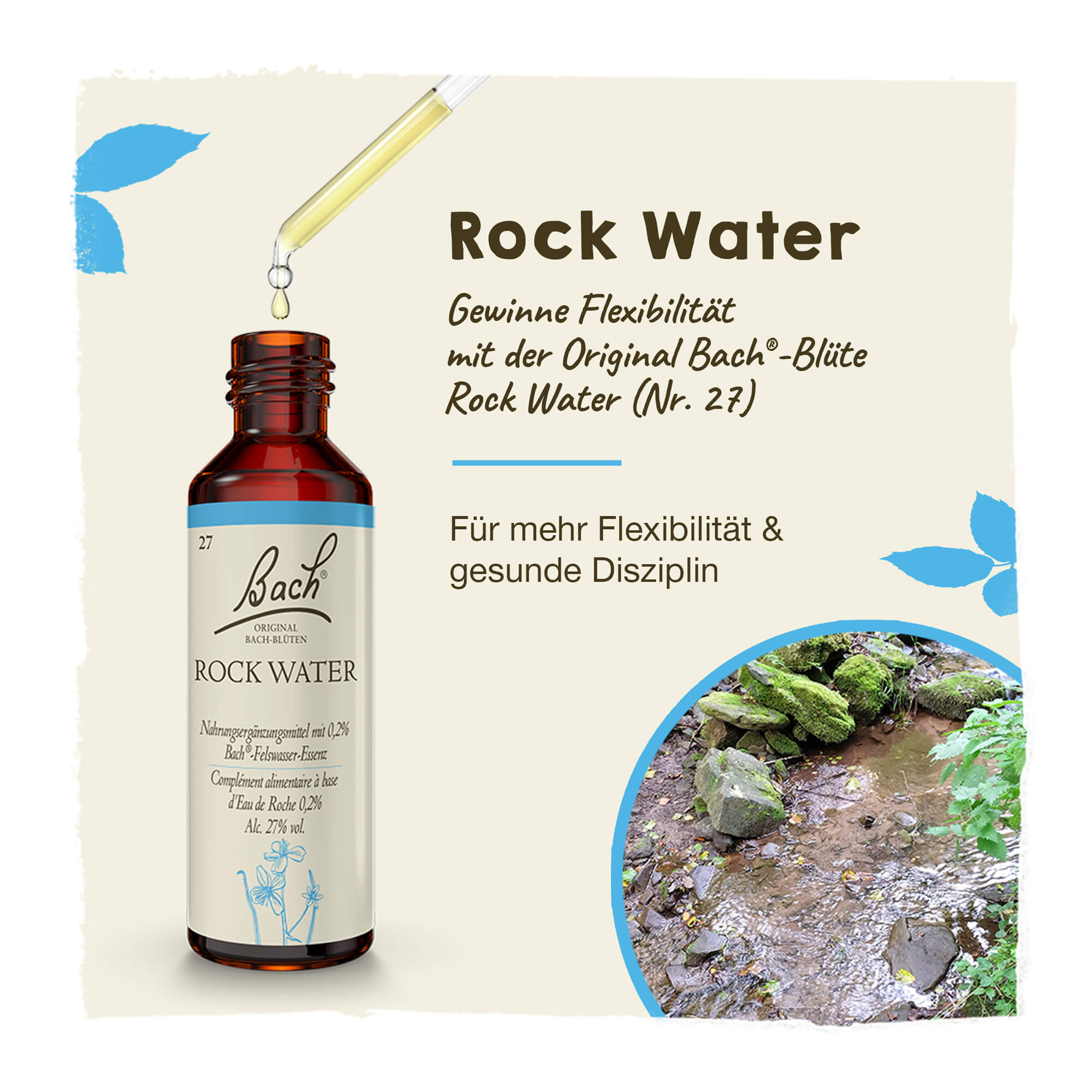Bachblüte Rock Water Tropfen