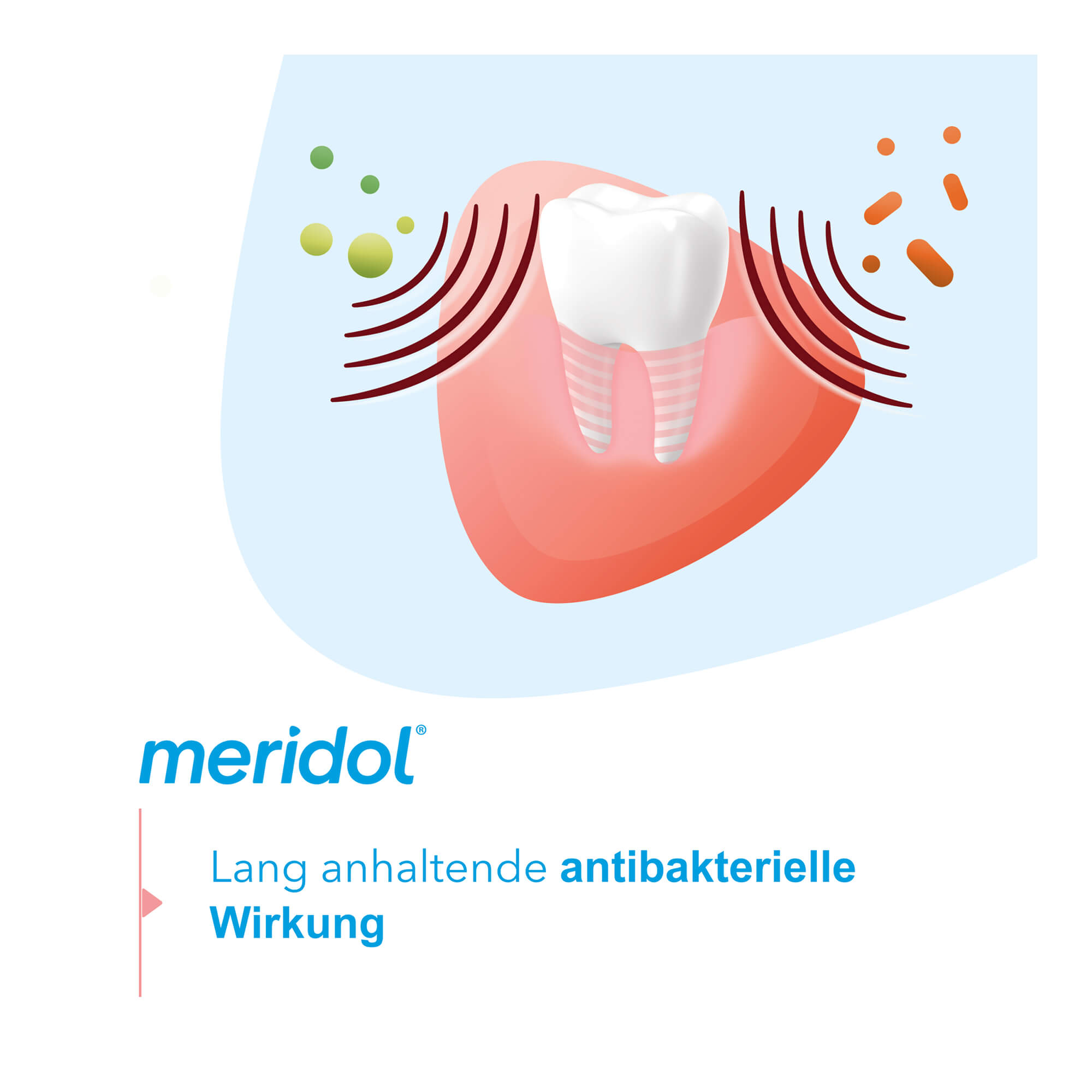 Grafik Meridol Rundumpflege Spülung antibakterielle Wirkung