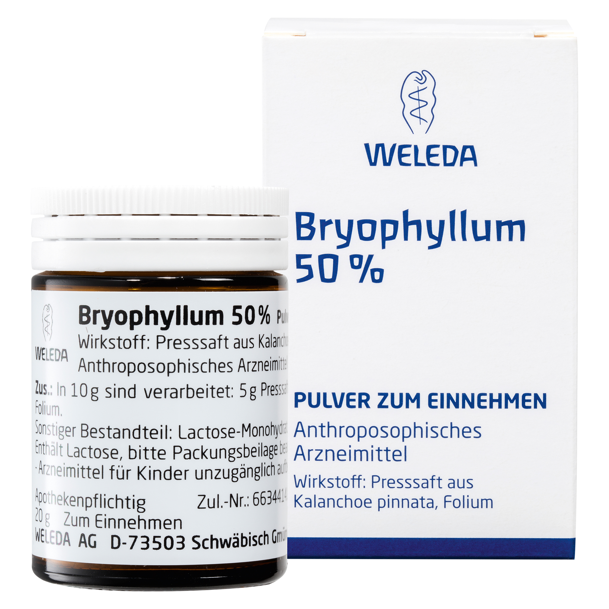 Bryophyllum 50% Pulver zum Einnehmen.