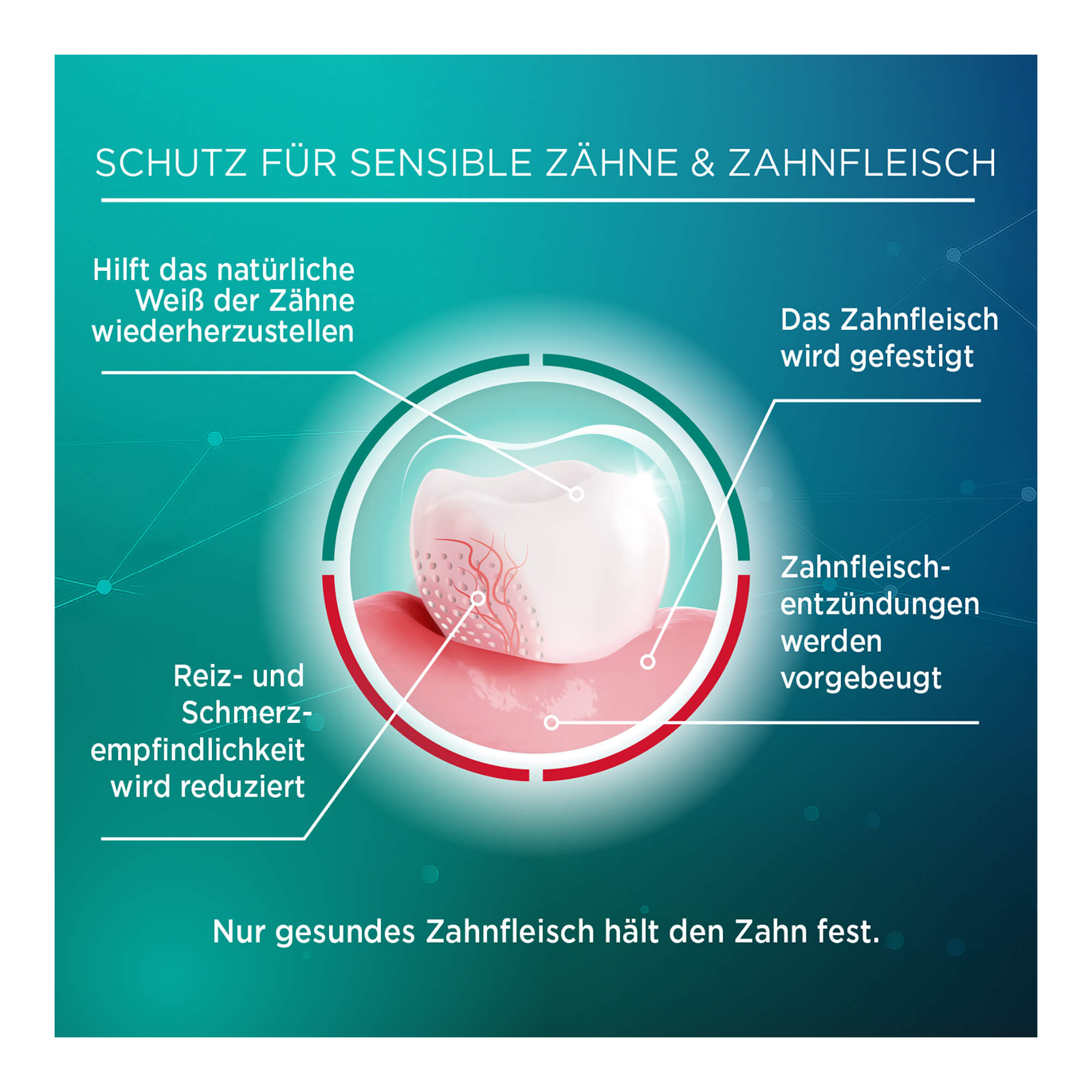 Grafik Lacalut sensitiv Zahnpasta Remineralisierung & sanftes Weiß Schutz für sensible Zähne & Zahnfleisch