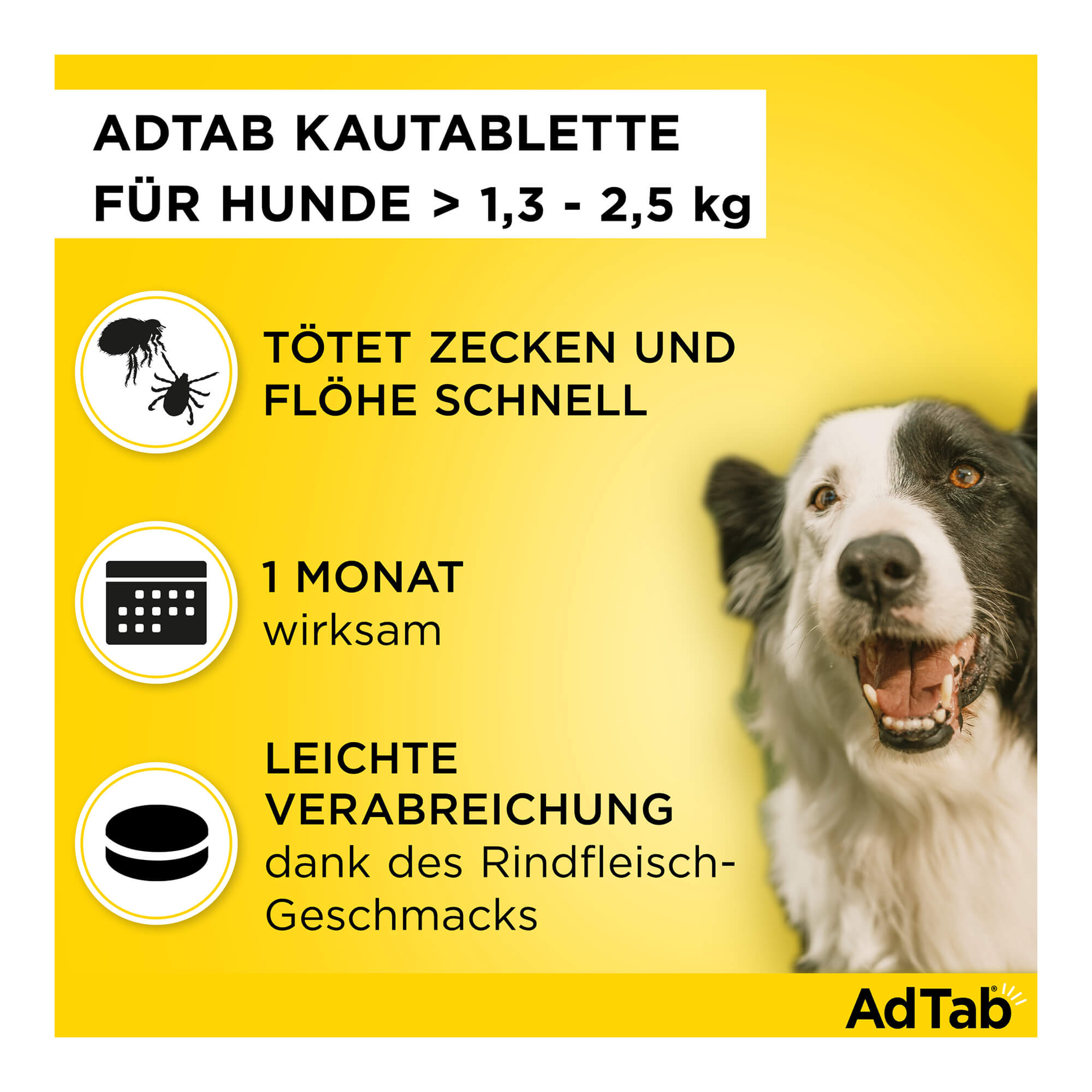 AdTab Kautabletten für Hunde von 1,3 bis 2,5 kg Merkmale