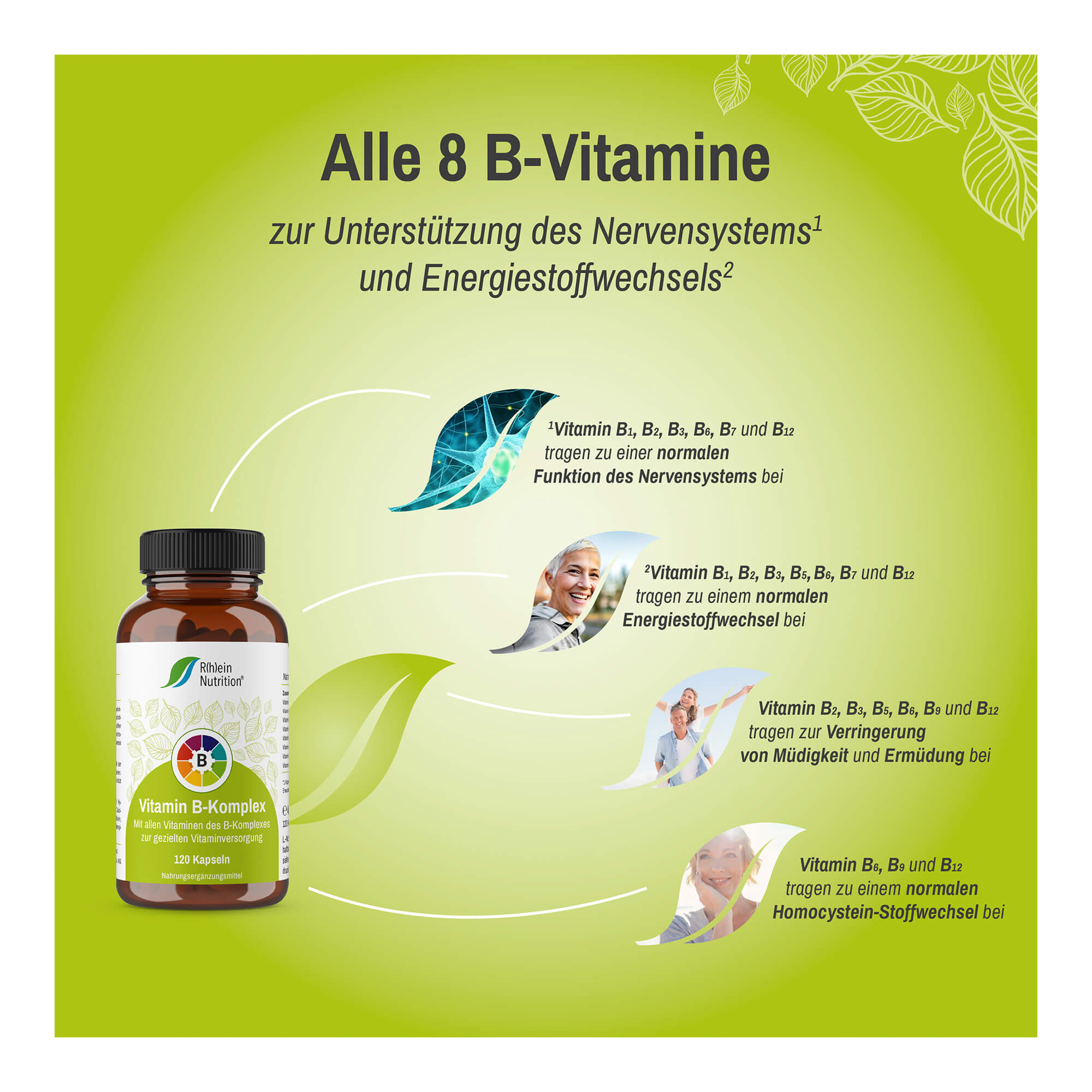 Vitamin B Komplex Kapseln Bestandteile