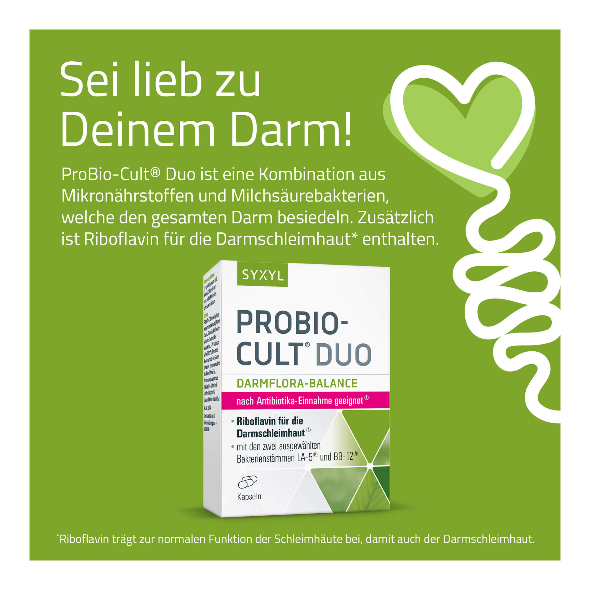 Grafik Probio-Cult Duo ist eine Kombination aus Mikronährstoffen und Milchsäurebakterien, welche den gesamten Darm besiedeln.