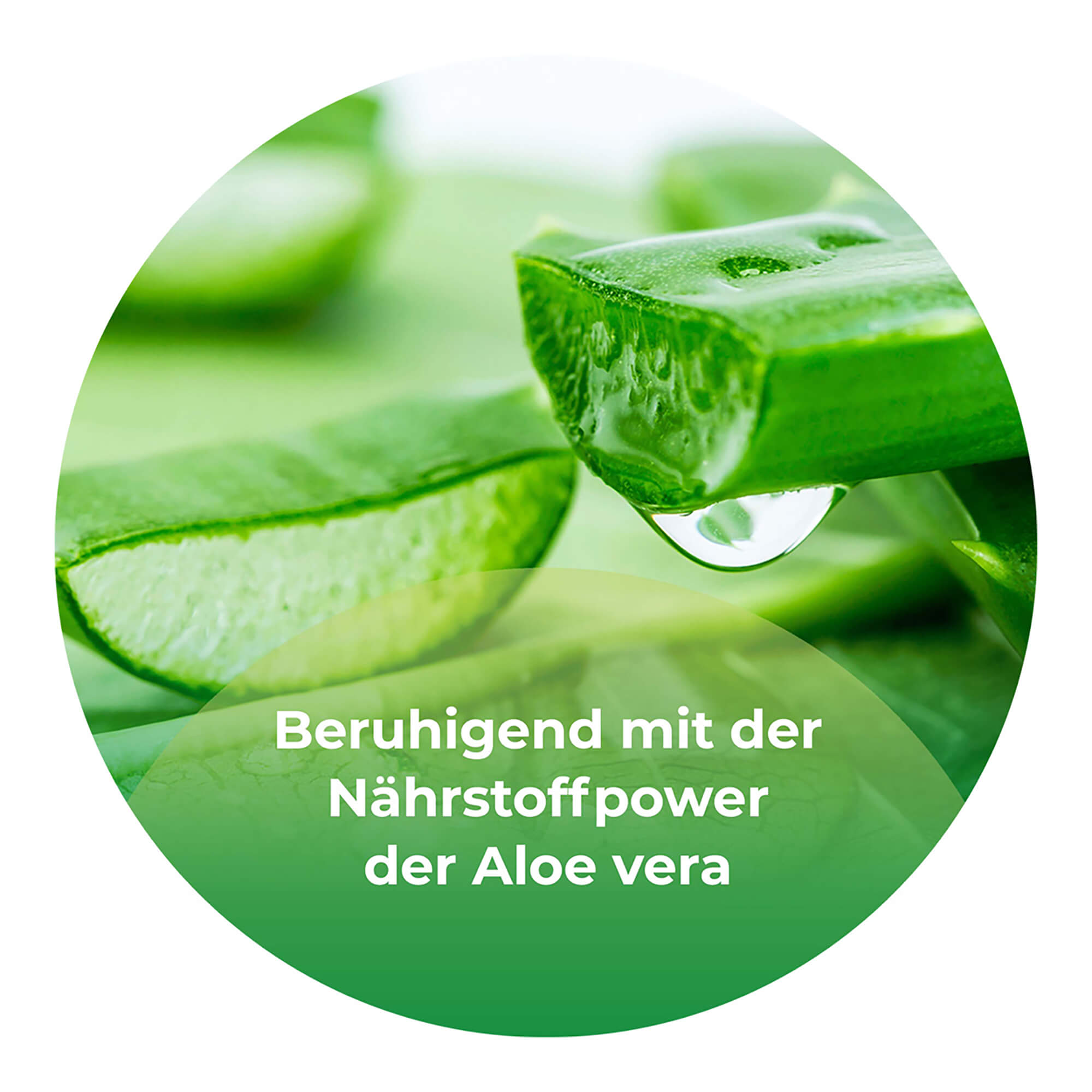Grafik Ocutears Alo+ Augentropfen Beruhigend mit der Nährstoffpower der Aloe vera