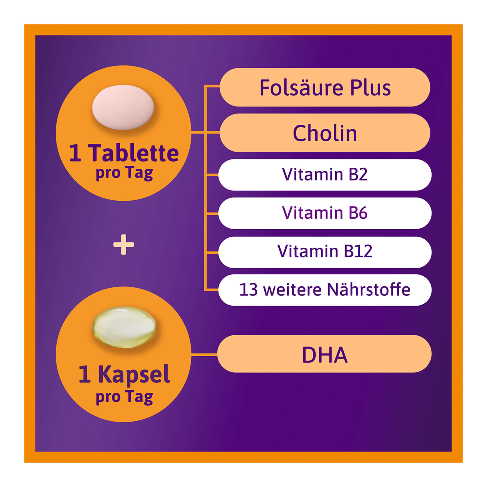 Grafik Femibion 2 Schwangerschaft 16-Wochen-Kombipackung Inhaltsstoffe Tablette & Kapsel