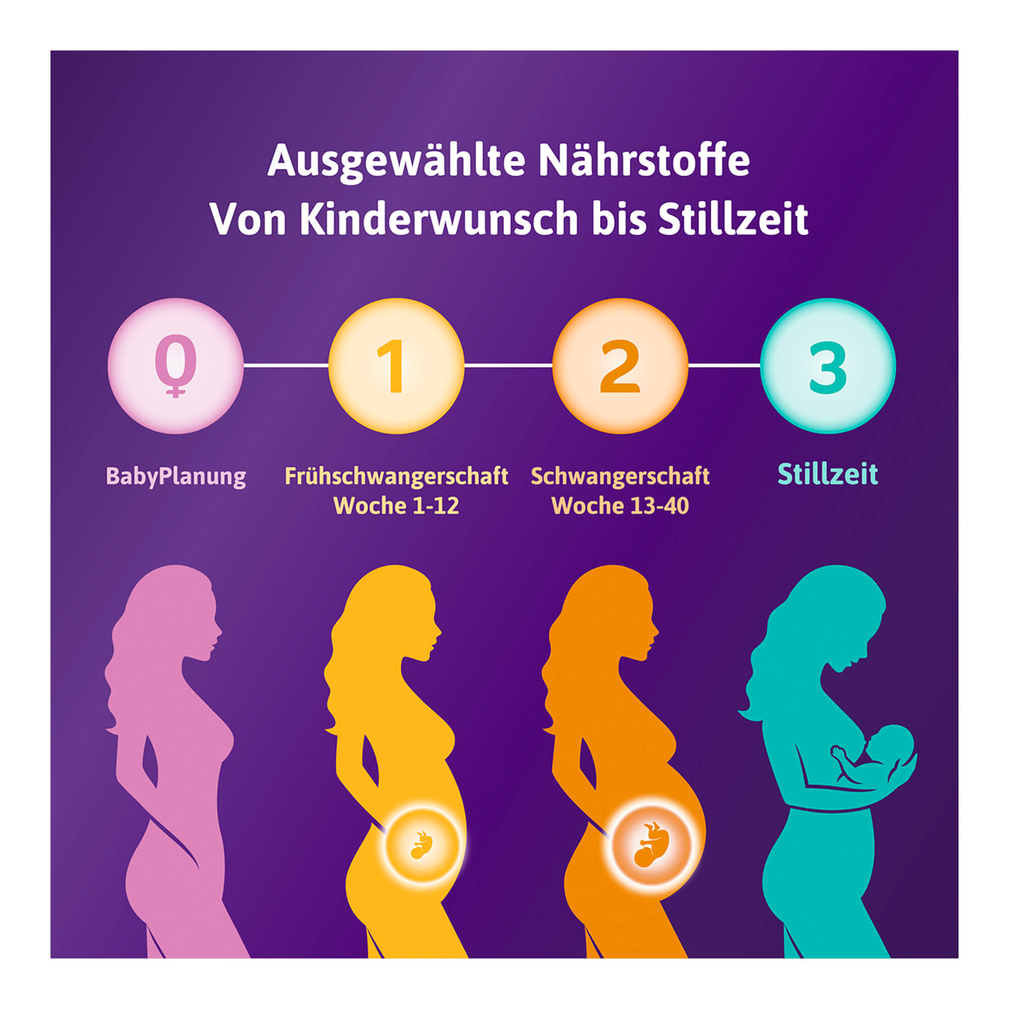 Grafik Femibion 2 Schwangerschaft 12-Wochen-Kombipackung weitere Produkte