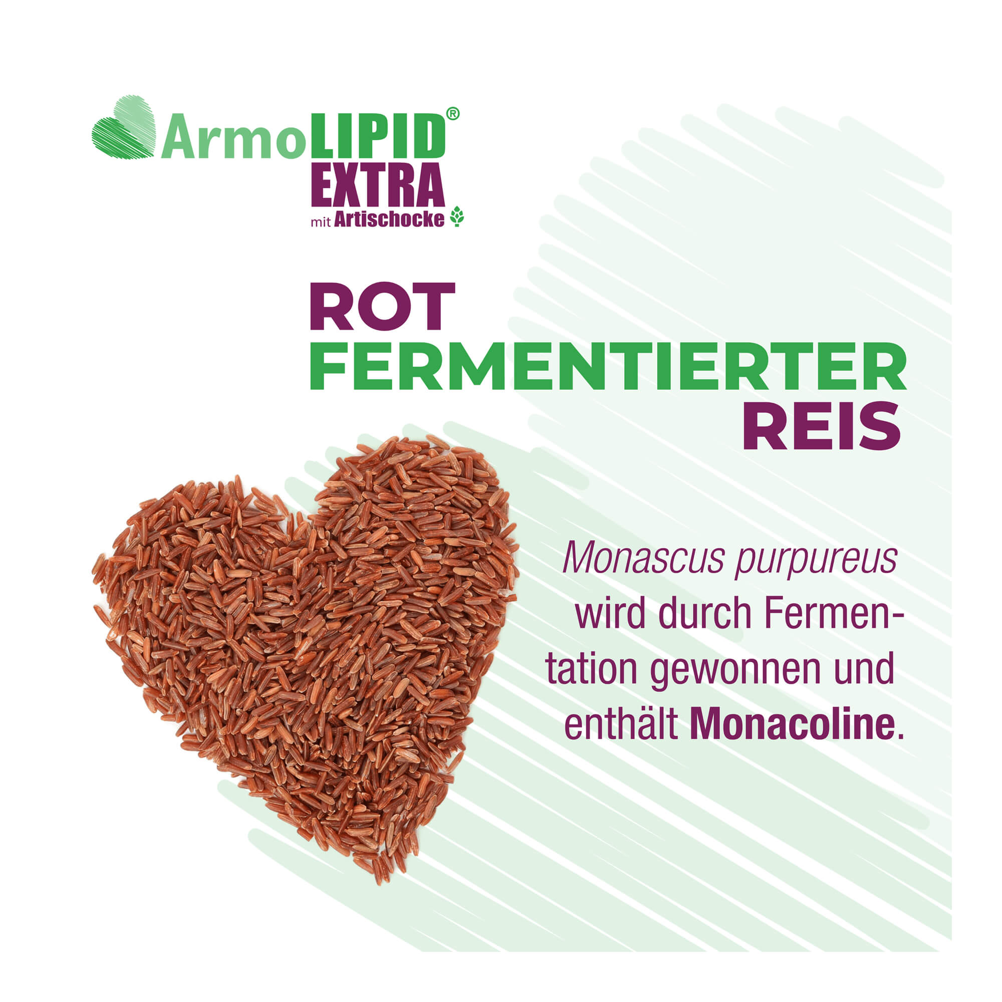 ArmoLIPID Extra Tabletten rot fermentierter Reis