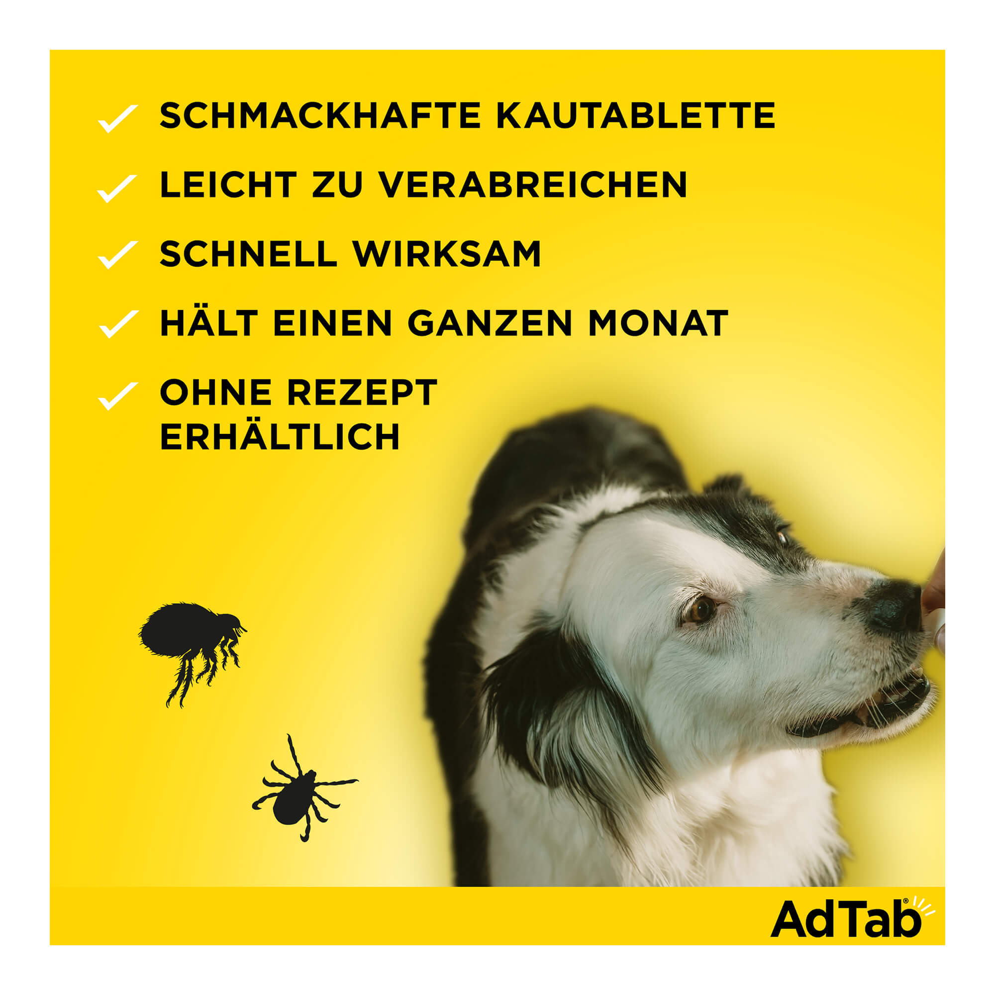 AdTab Kautabletten für Hunde Merkmale
