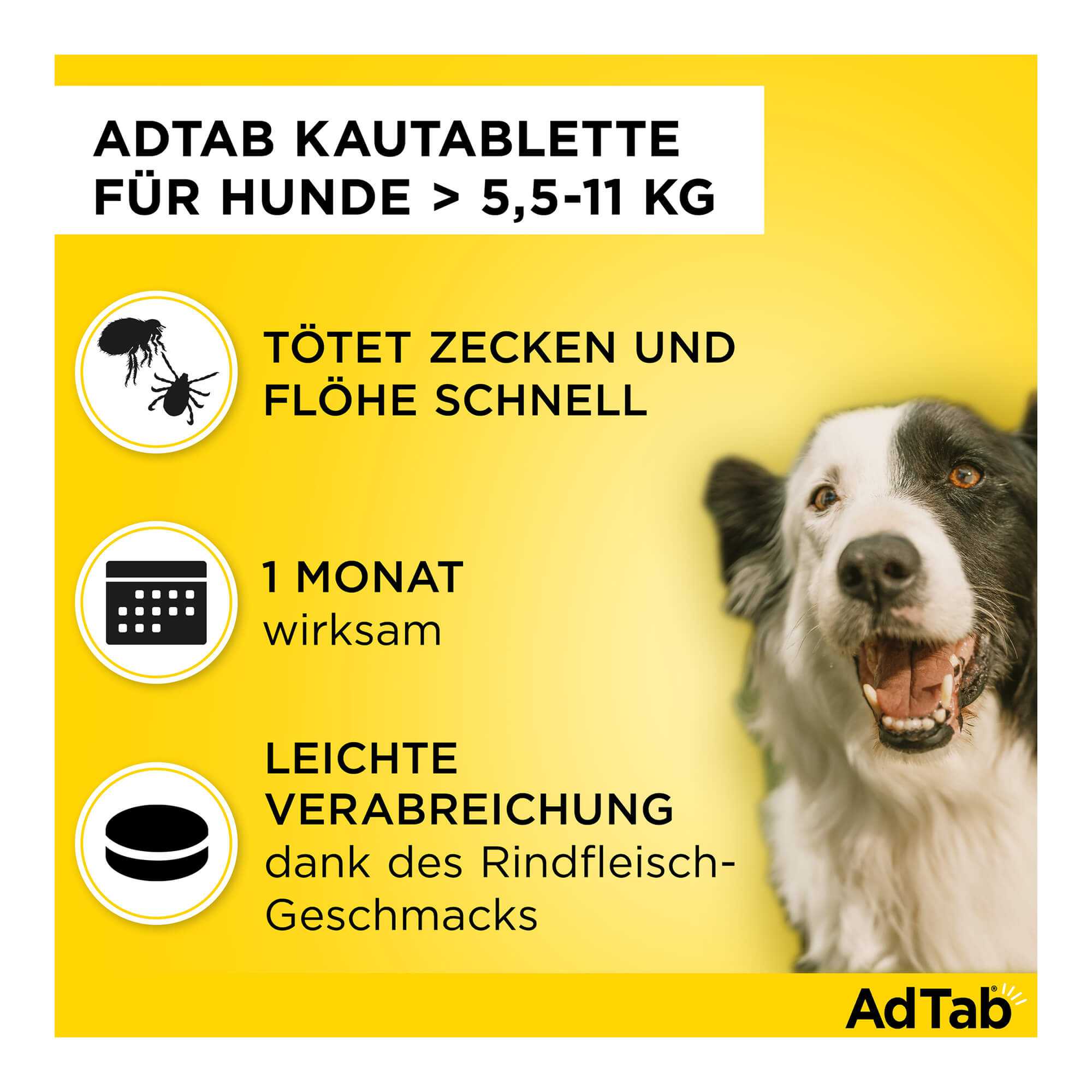 AdTab Kautabletten für Hunde über 5,5 bis 11 kg Merkmale