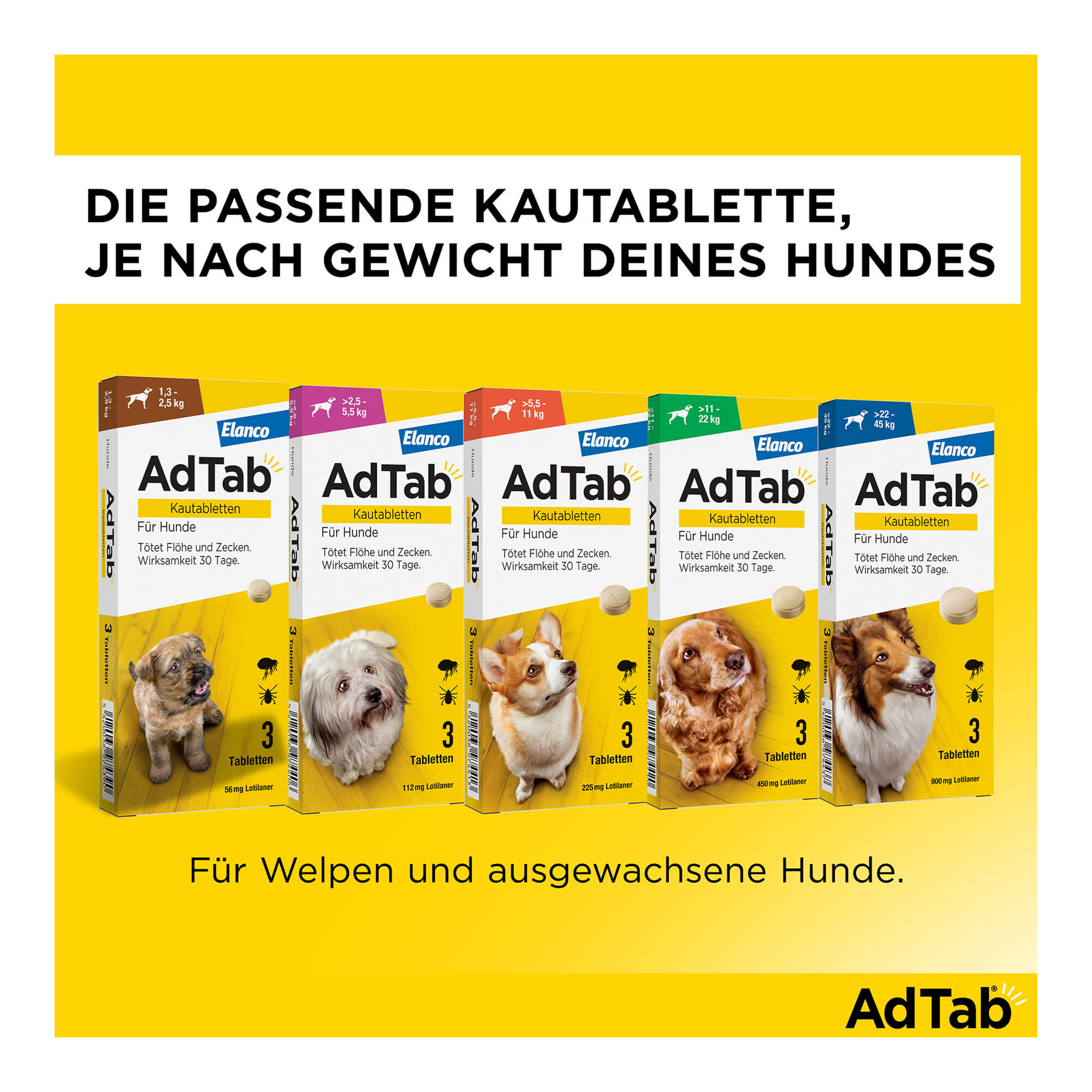 AdTab Kautabletten für Hunde Produktsortiment