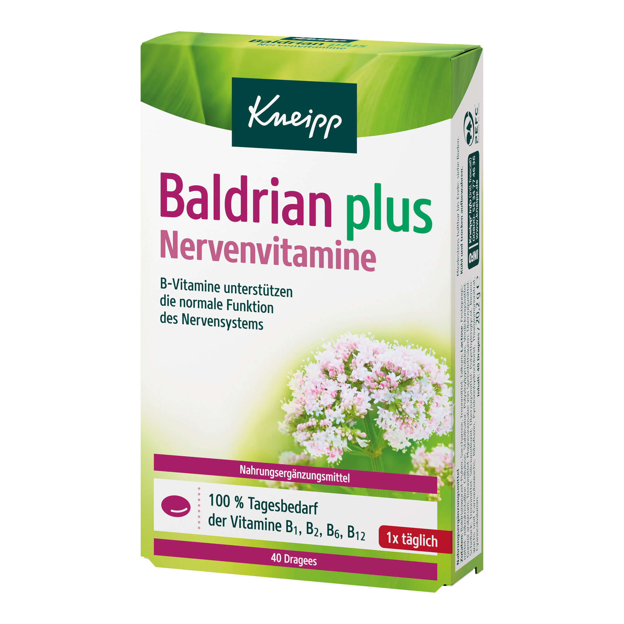 Nahrungsergänzungsmittel mit B-Vitaminen und Baldrianwurzel-Pulver.