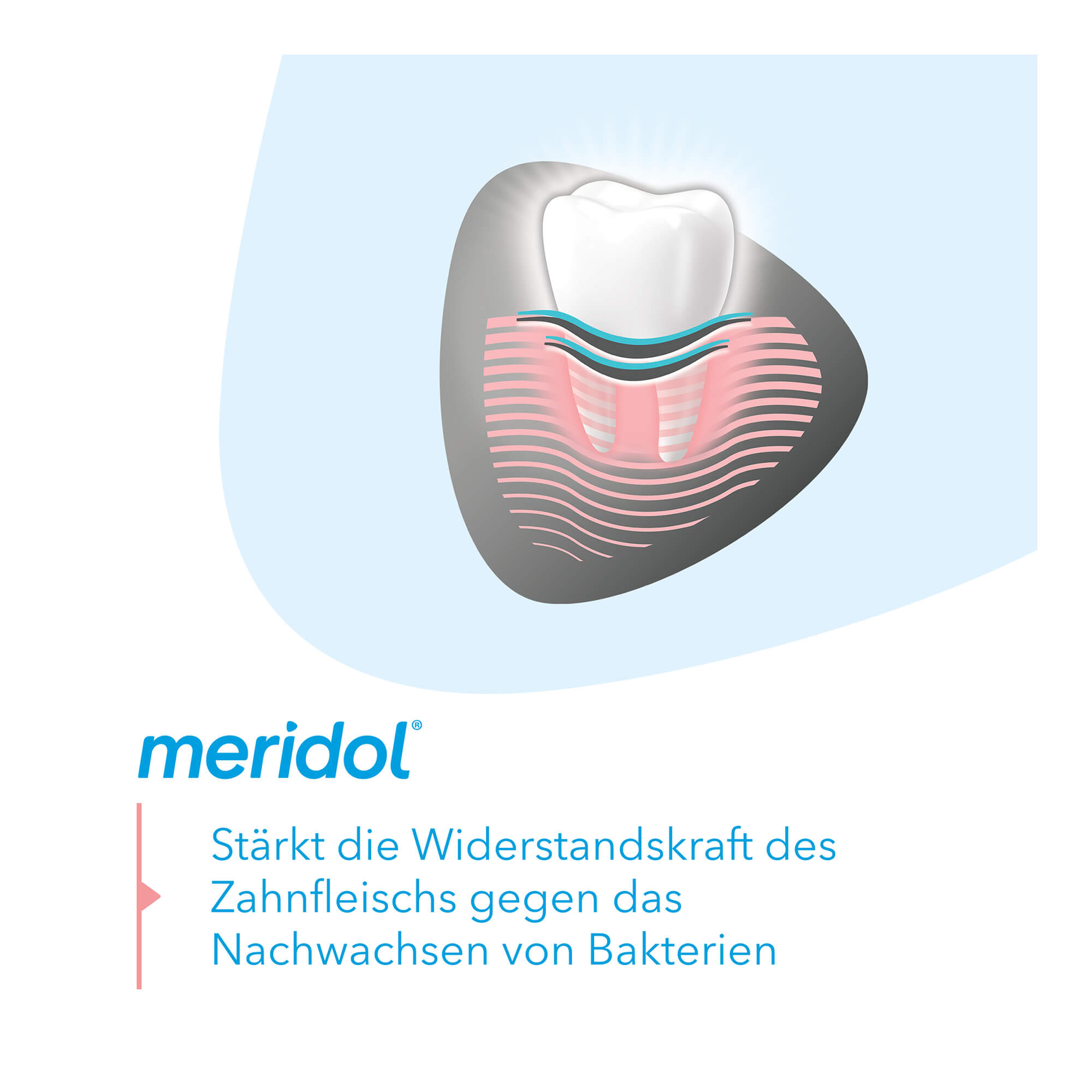 Grafik Meridol Zahnpasta Wirkweise