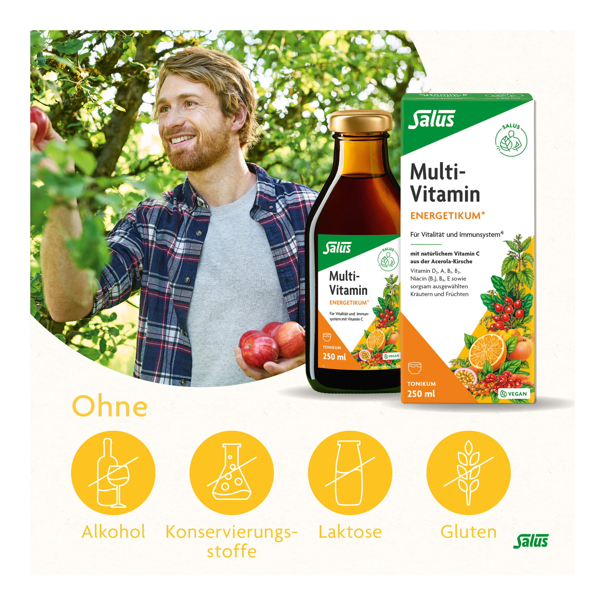 Grafik Multi-Vitamin Energetikum Merkmale