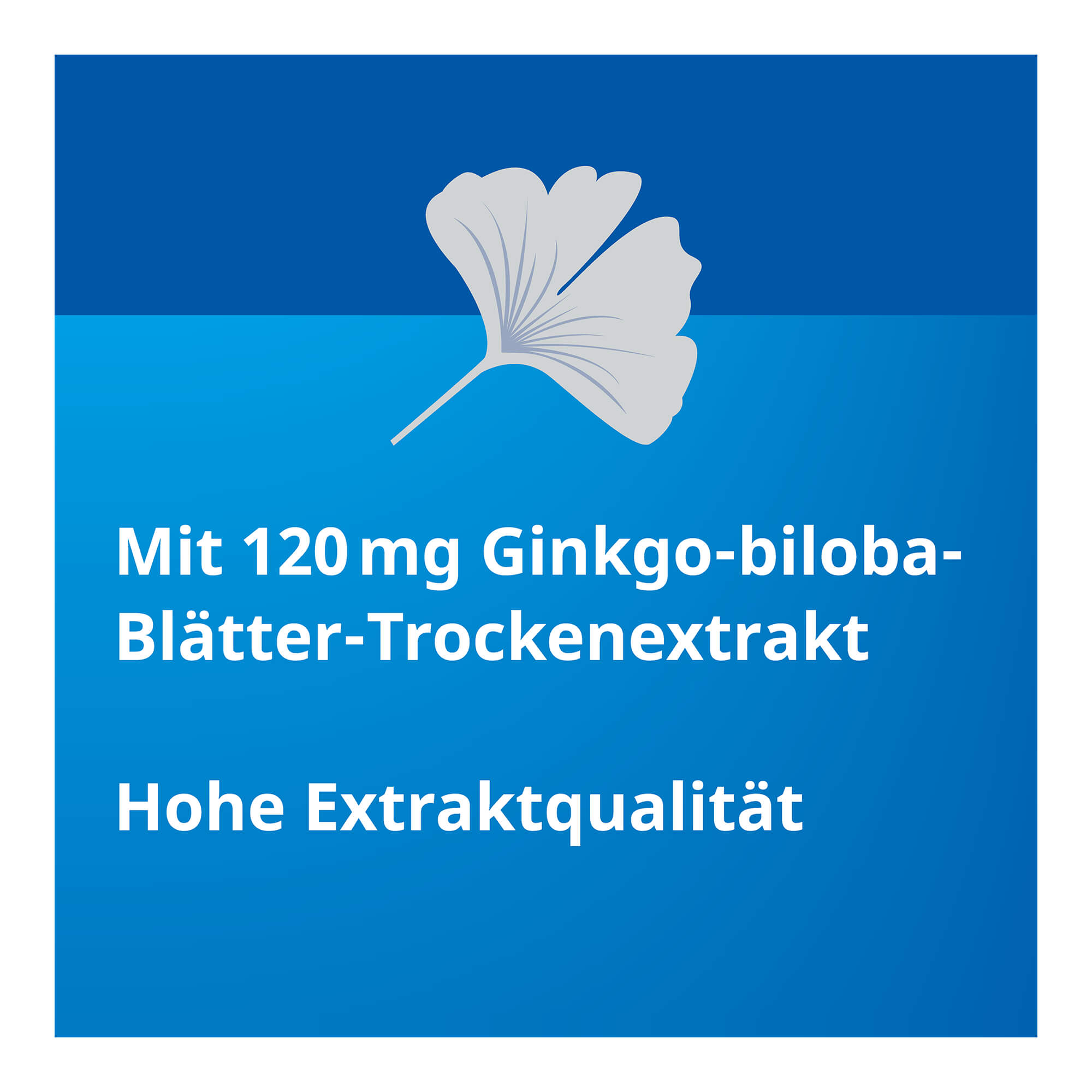Ginkgo STADA 120 mg Filmtabletten Wirkstoffe