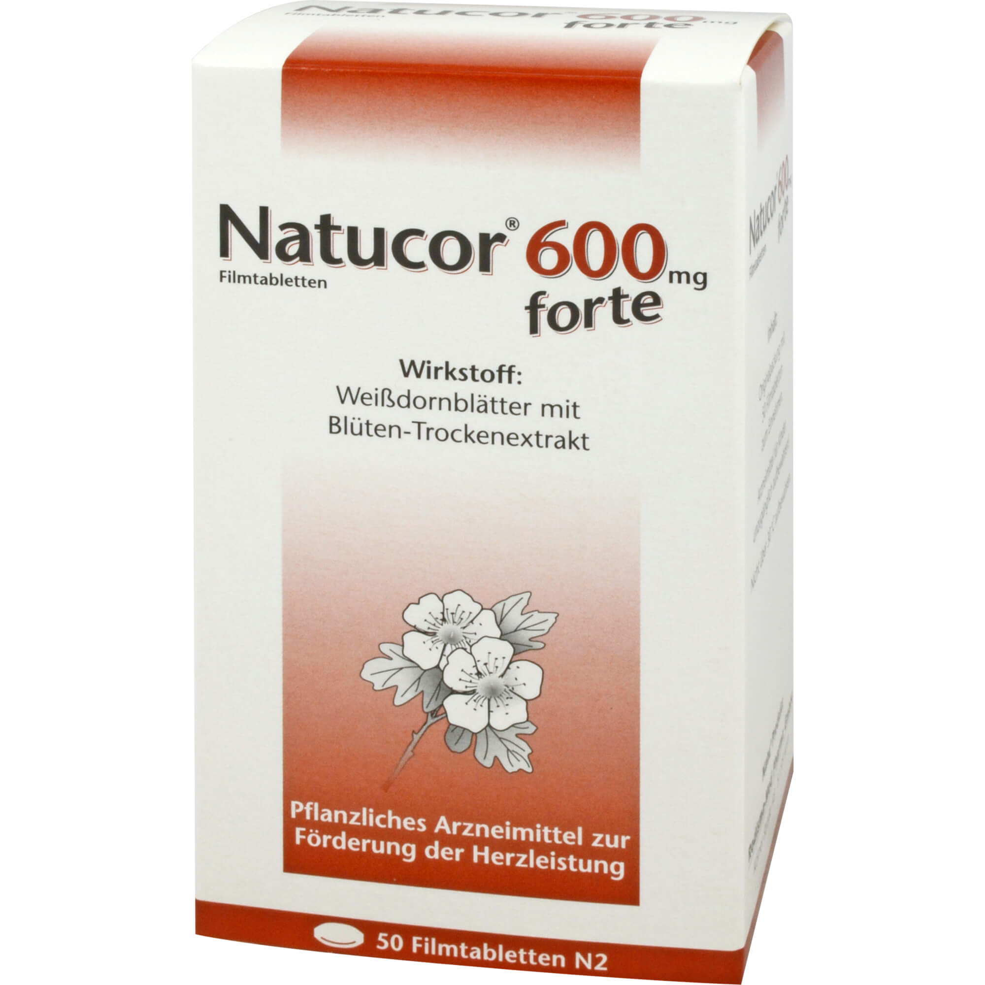 NATUCOR 600 mg forte Filmtabl.