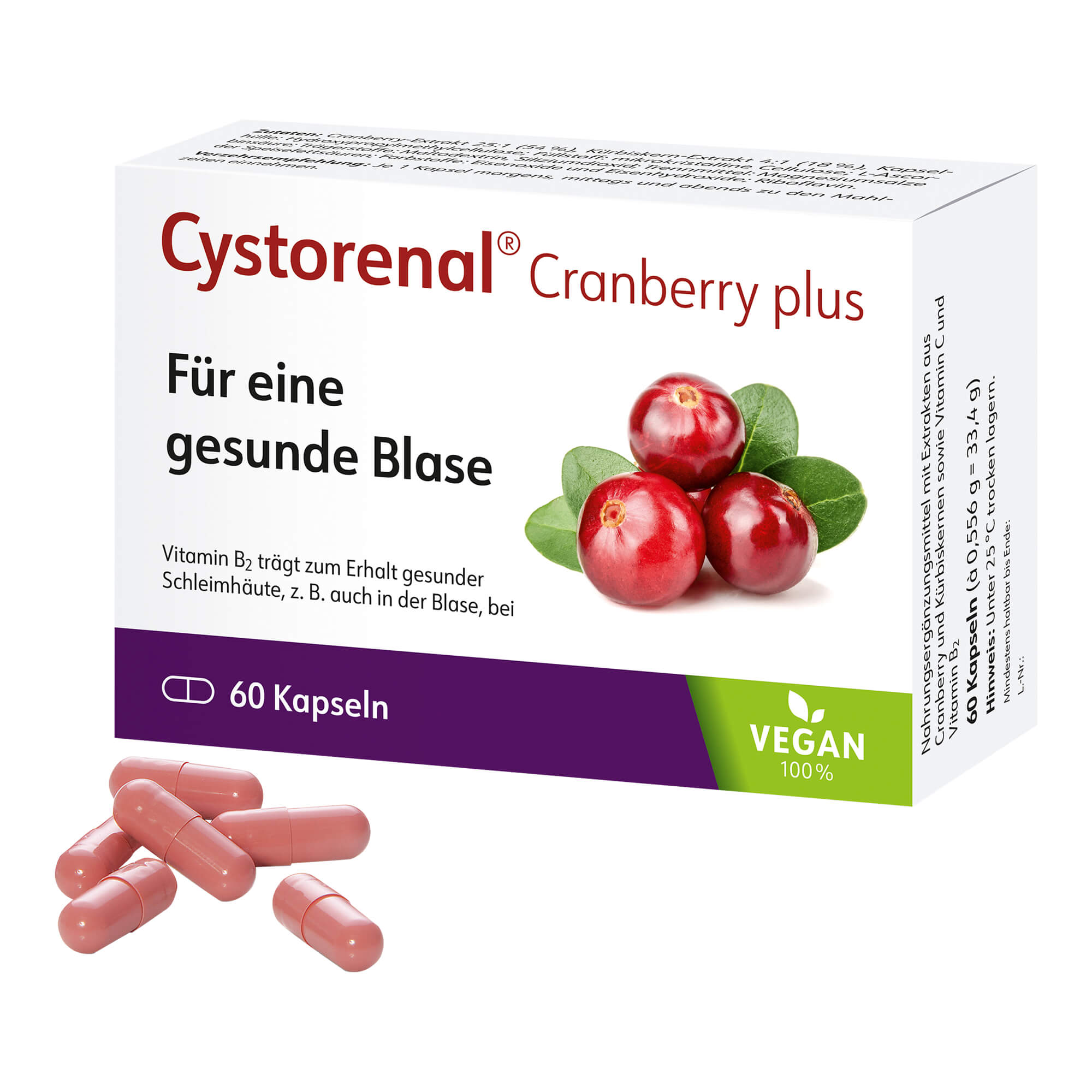 Nahrungsergänzungsmittel mit Cranberry- und Kürbiskern-Extrakt sowie Vitamin C und Vitamin B2. Kapseln für Frauen und Männer.