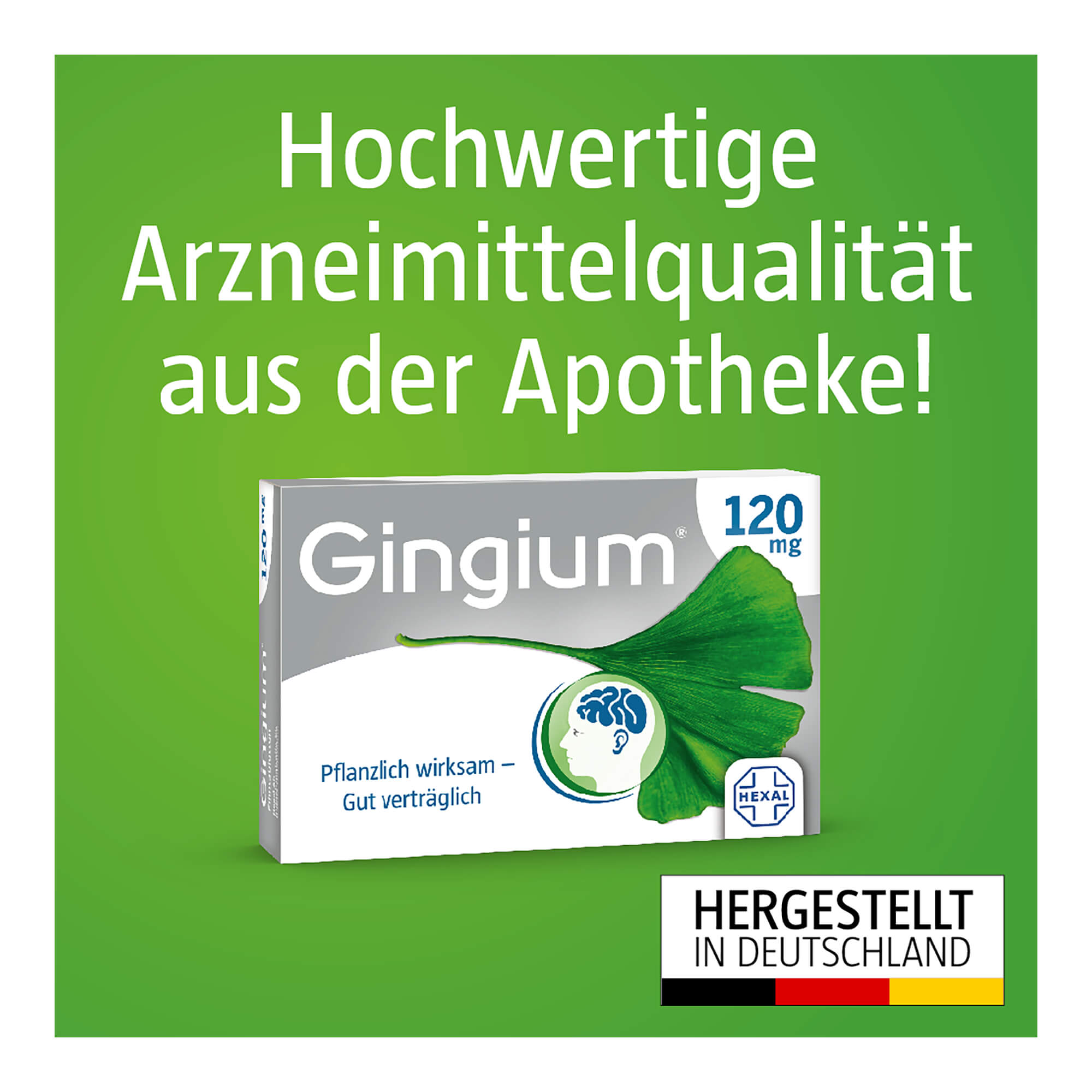 Grafik Gingium Filmtabletten Hochwertige Arzneimittelqualität aus der Apotheke. Hergestellt in Deutschland.