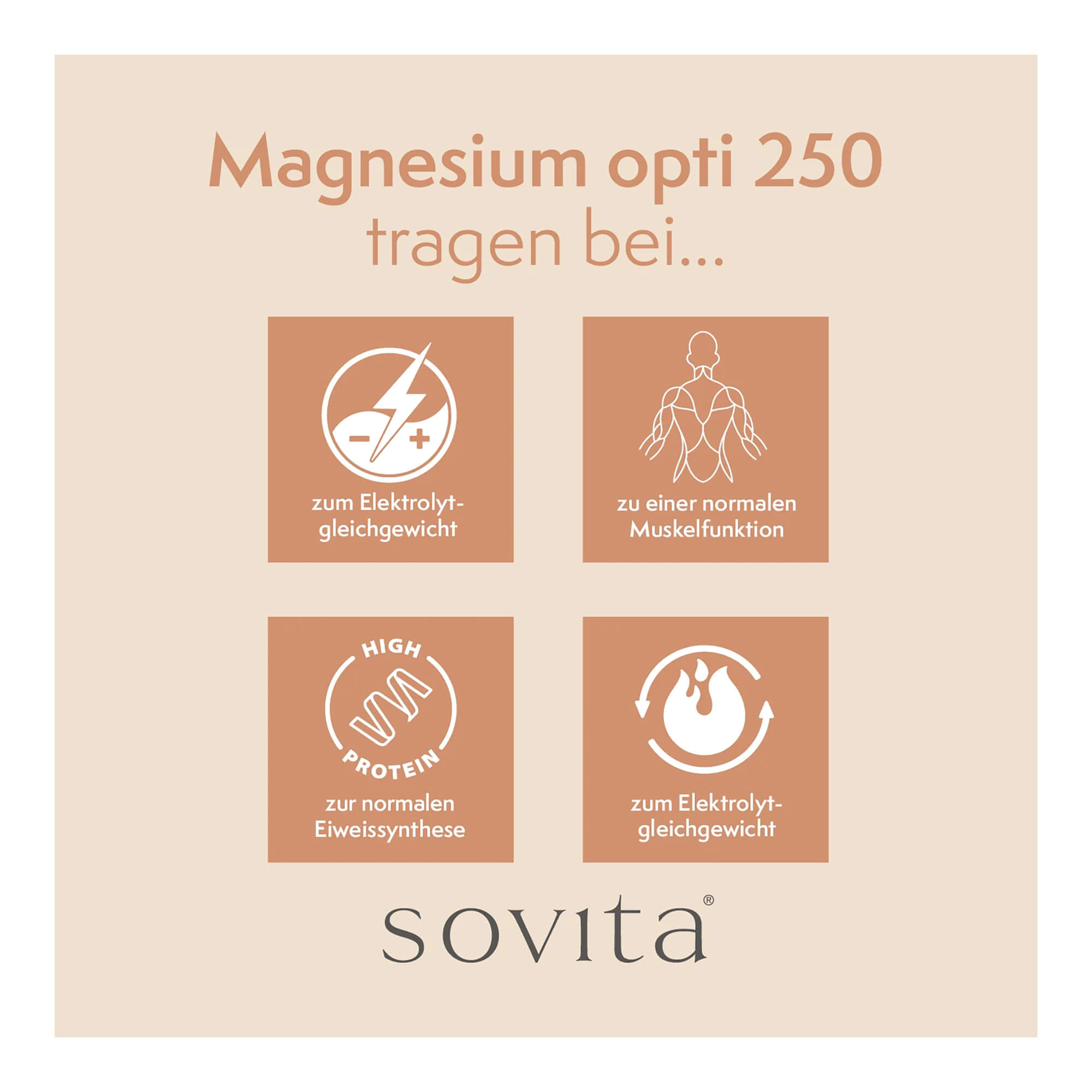 Grafik Sovita Magnesium Opti 250 Tabletten Tragen bei zum Elektrolytgleichgewicht, zu einer normalen Muskelfunktion, zur normalen Eiweissynthese