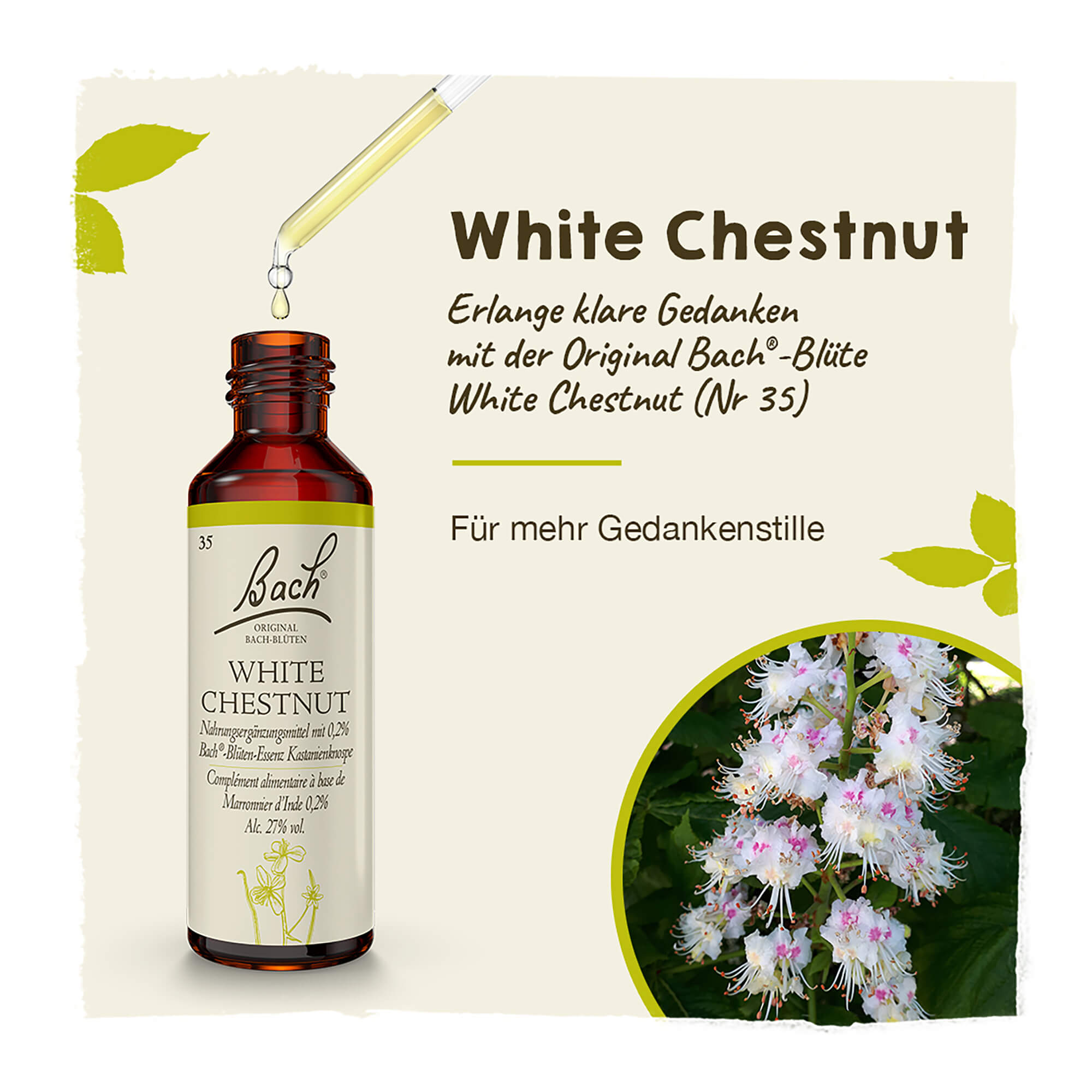 Grafik Bachblüte White Chestnut Tropfen