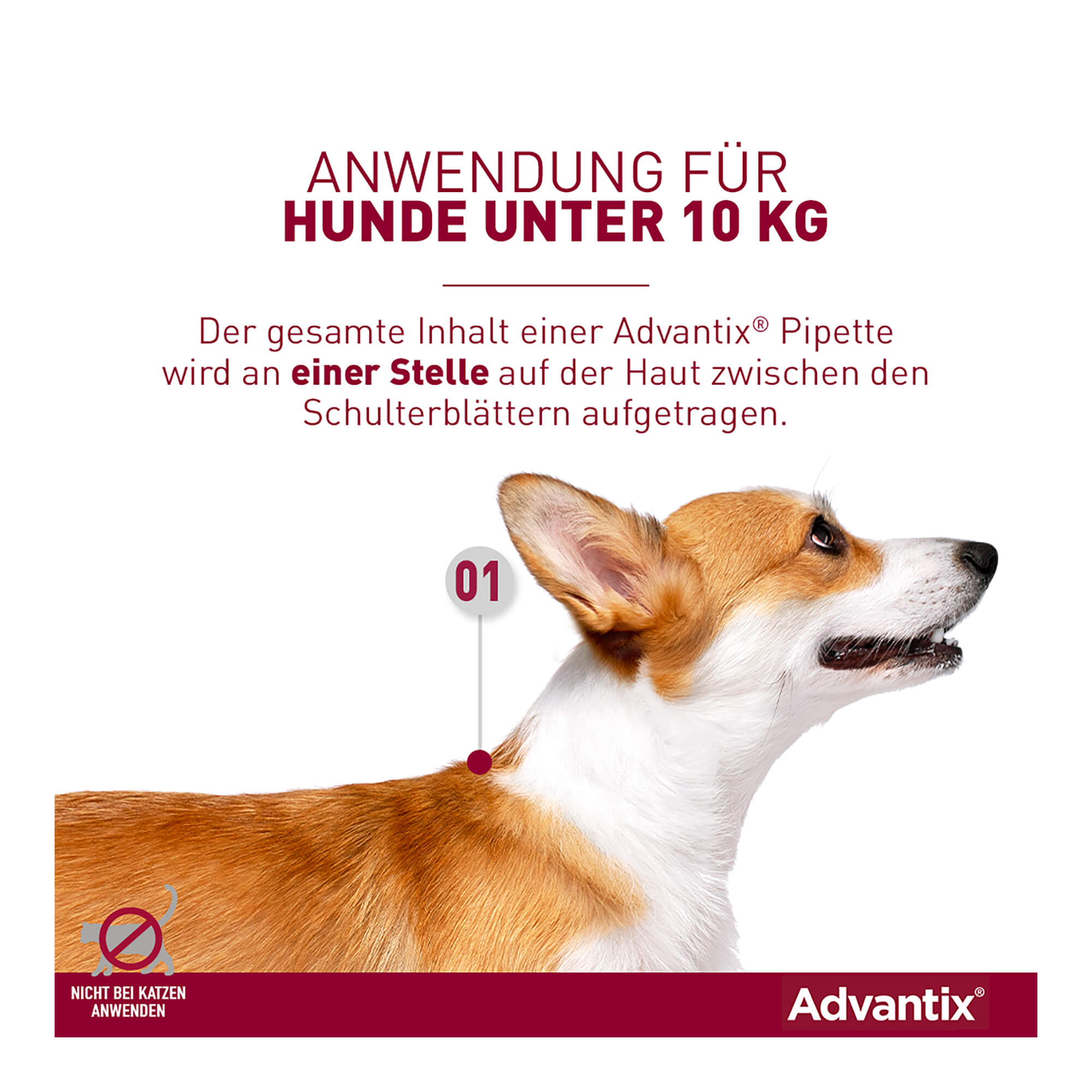 Advantix Spot-on Lsg. zum Auftropfen für Hunde bis 4 kg