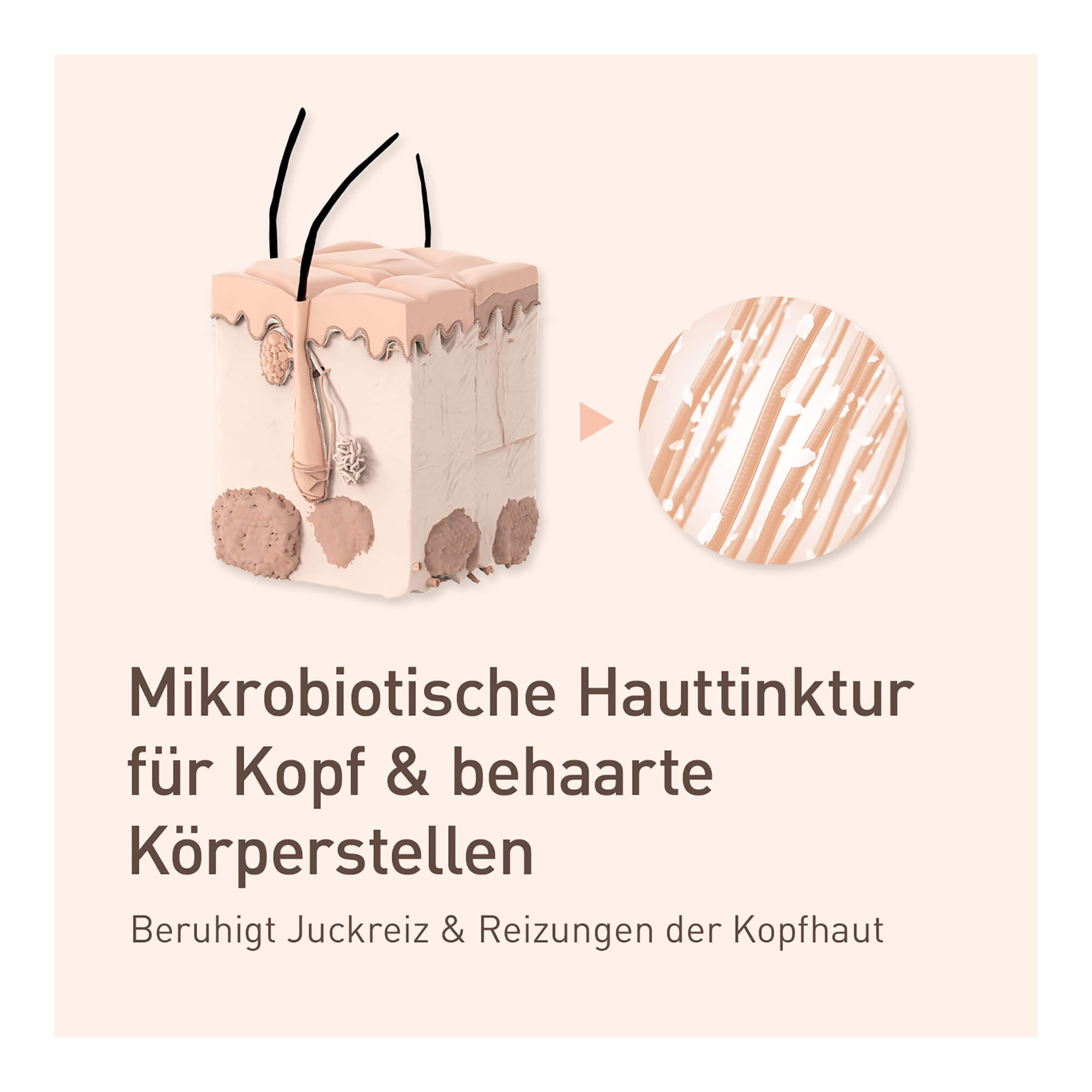 Grafik Nupure probariasis Tinktur Mikrobiotische Hauttinktur