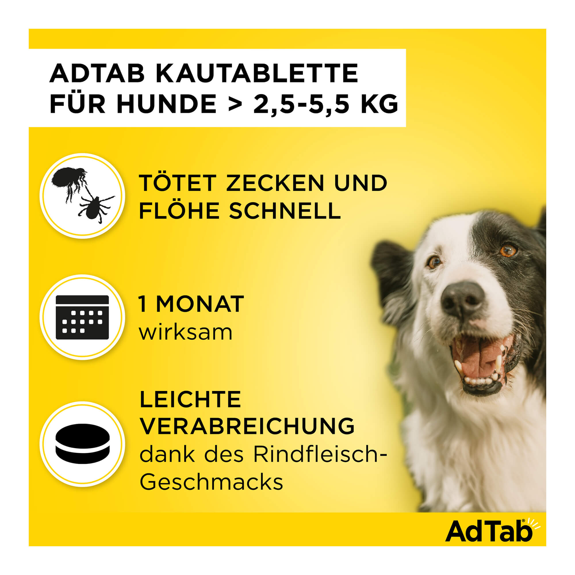 AdTab Kautabletten für Hunde über 2,5 bis 5,5 kg Merkmale