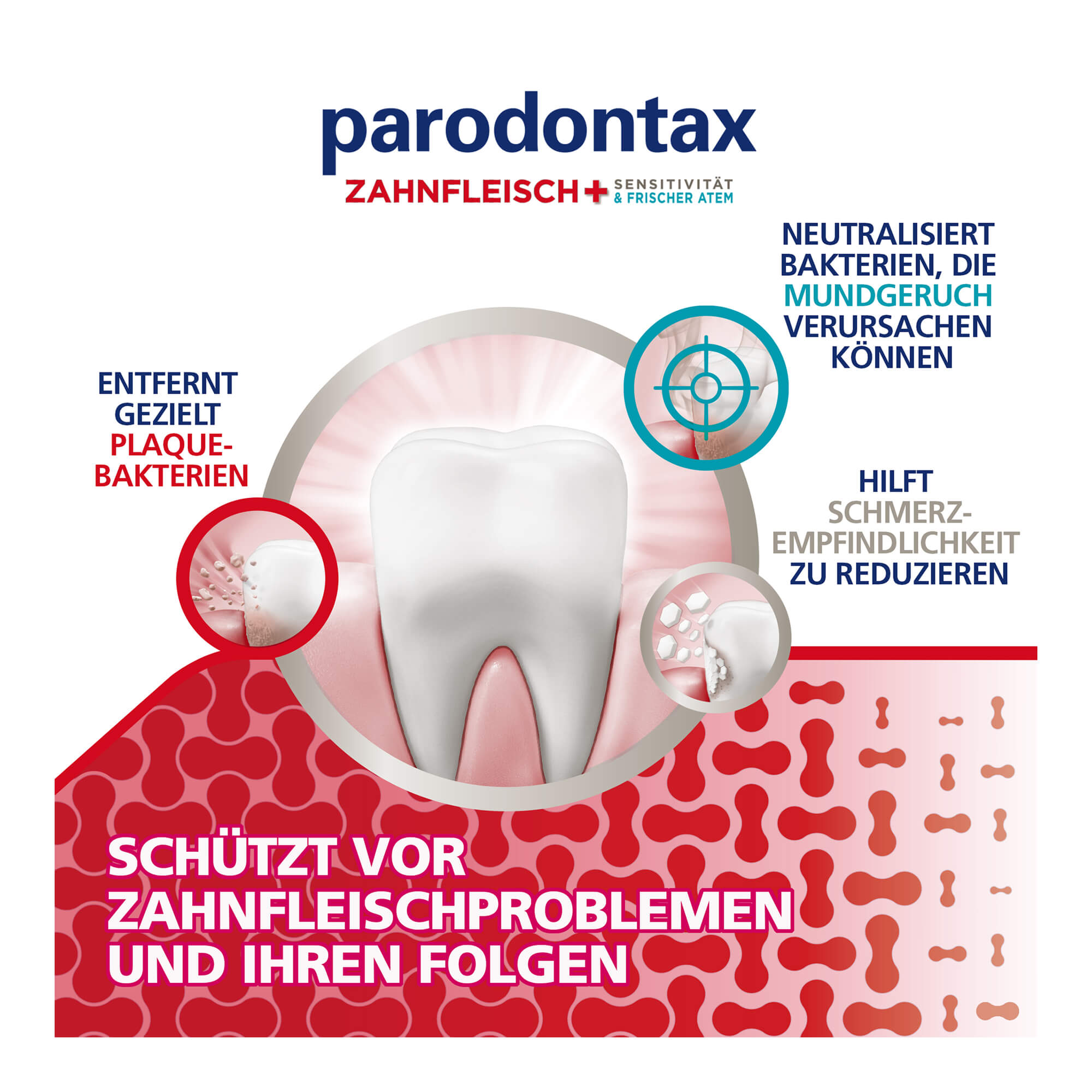 Parodontax Zahnfleisch+ Sensitivität & Frischer Atem