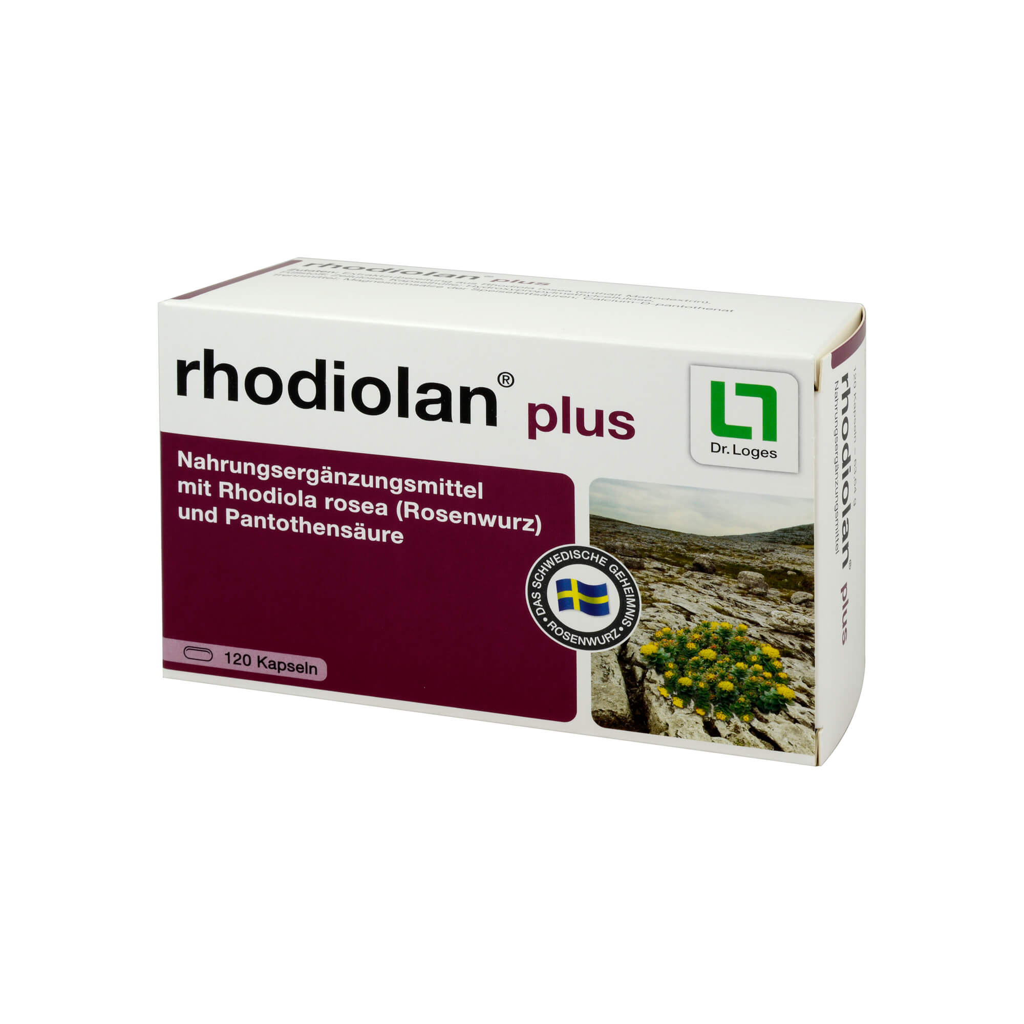 Nahrungsergänzungsmittel mit Rhodiola rosea (Rosenwurz) und Pantothensäure.