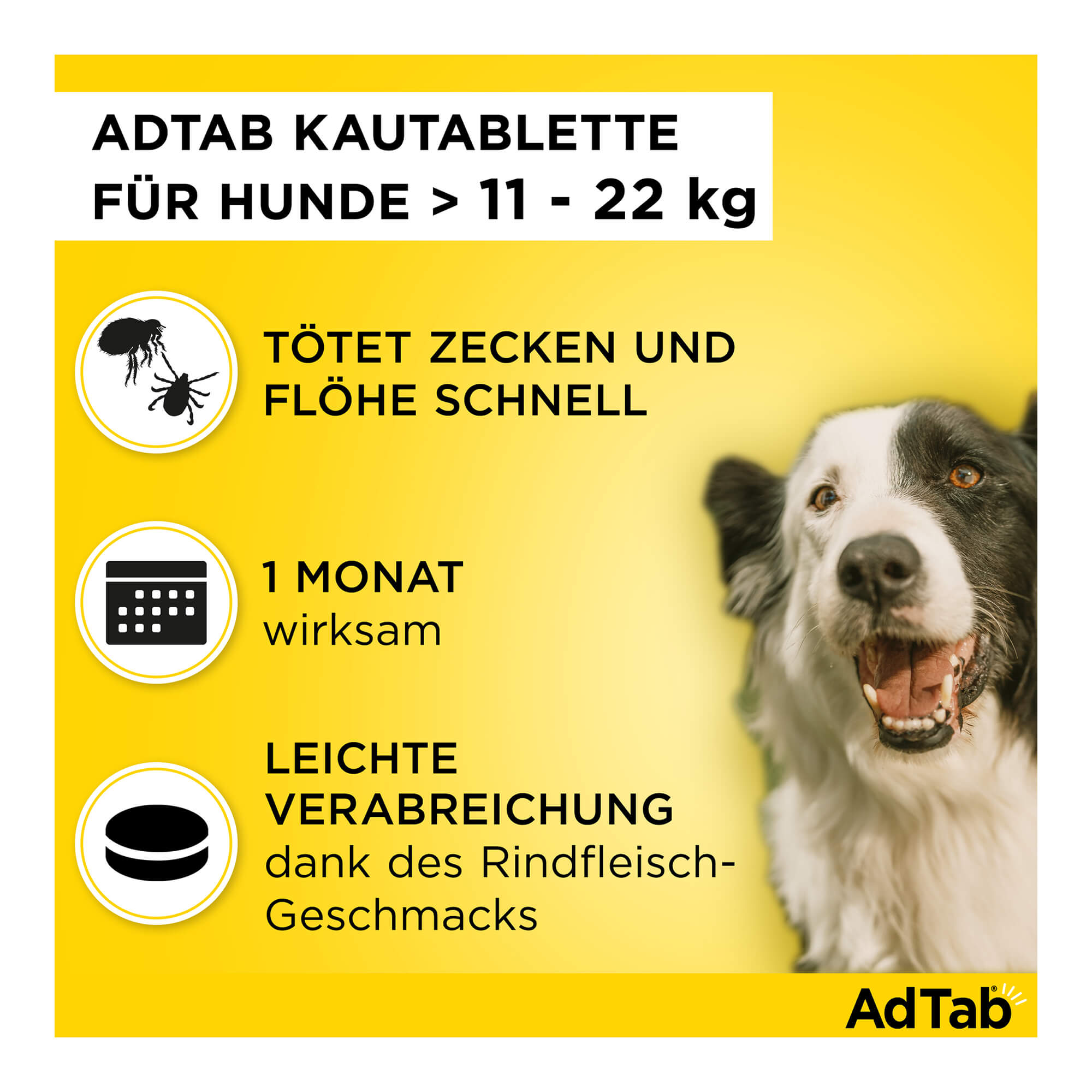 AdTab Kautabletten für Hunde über 11 bis 22 kg Merkmale