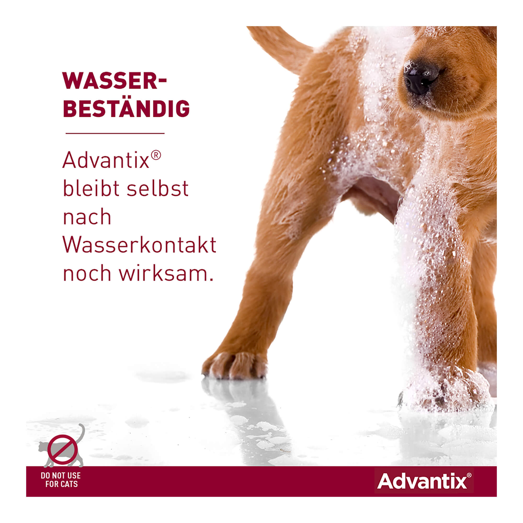 Advantix Spot-on Lsg. zum Auftropfen für Hunde 40-60 kg
